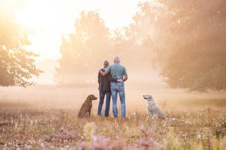 Hundefotos Dresdner Heide Golden Retriever Chesapeake Bay Retriever-001