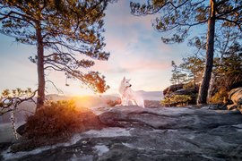 Hundefoto von Weißer Schäferhund im Sonnenaufgang in der Sächsischen Schweiz