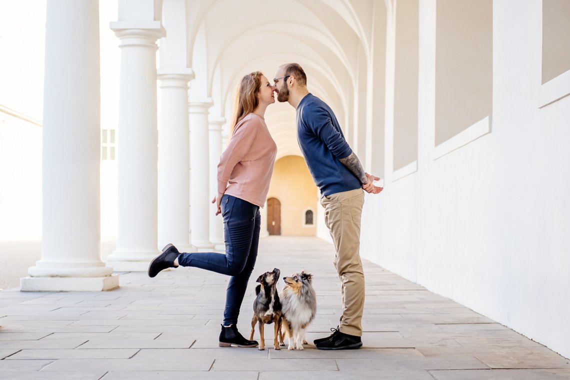 Frauchen und Herrchen küssen sich und ihre Hunde gucken ihnen zu