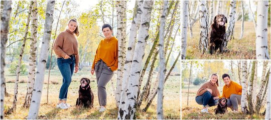 Hundefotos mit Labrador und Familie in Dresden