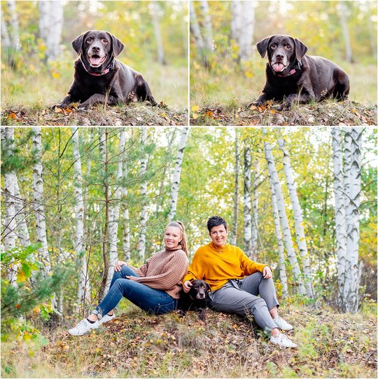 Labrador Hundefoto mit Frauchen in Dresden