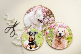 runde Fotoleinwände mit Hundefotos