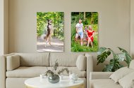 Leinwand Border Collie