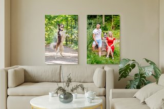 Leinwand Border Collie