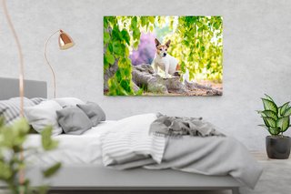Leinwand Jack Russel