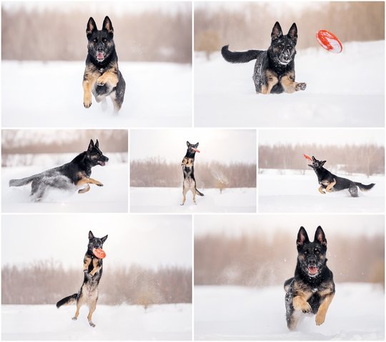 Lulu-7.jpg