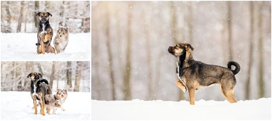 Maya und Fritz-122.jpg