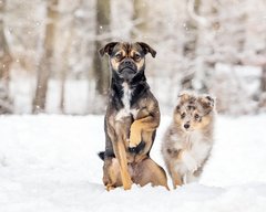 Maya und Fritz-122dw
