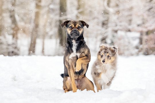 Maya und Fritz-122dw