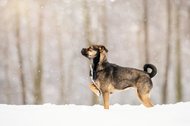 Maya und Fritz-87.jpg