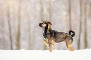 Maya und Fritz-87.jpg