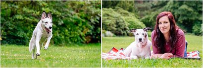 Mischling Hundefotos Dresden Geschenk für Hundehalter