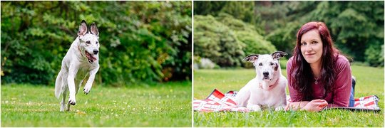 Mischling Hundefotos Dresden Geschenk für Hundehalter