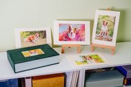 Passepartoutbox mit Hundefotos
