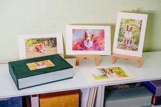 Passepartoutbox mit Hundefotos