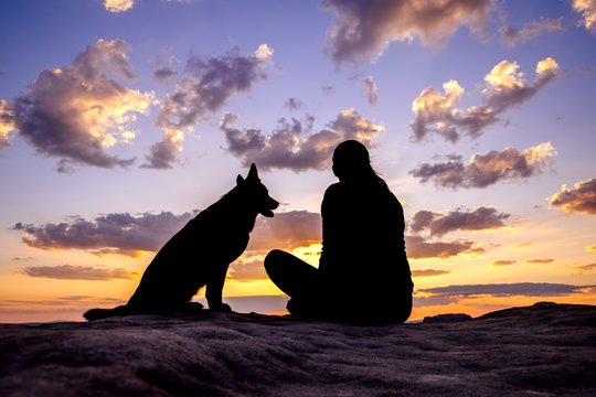Silhouette von Hund und Halter bei Sonnenaufgang