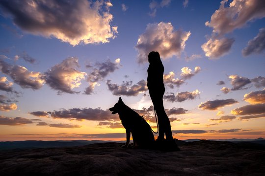 Silhouette von Hund und Halter bei Sonnenaufgang