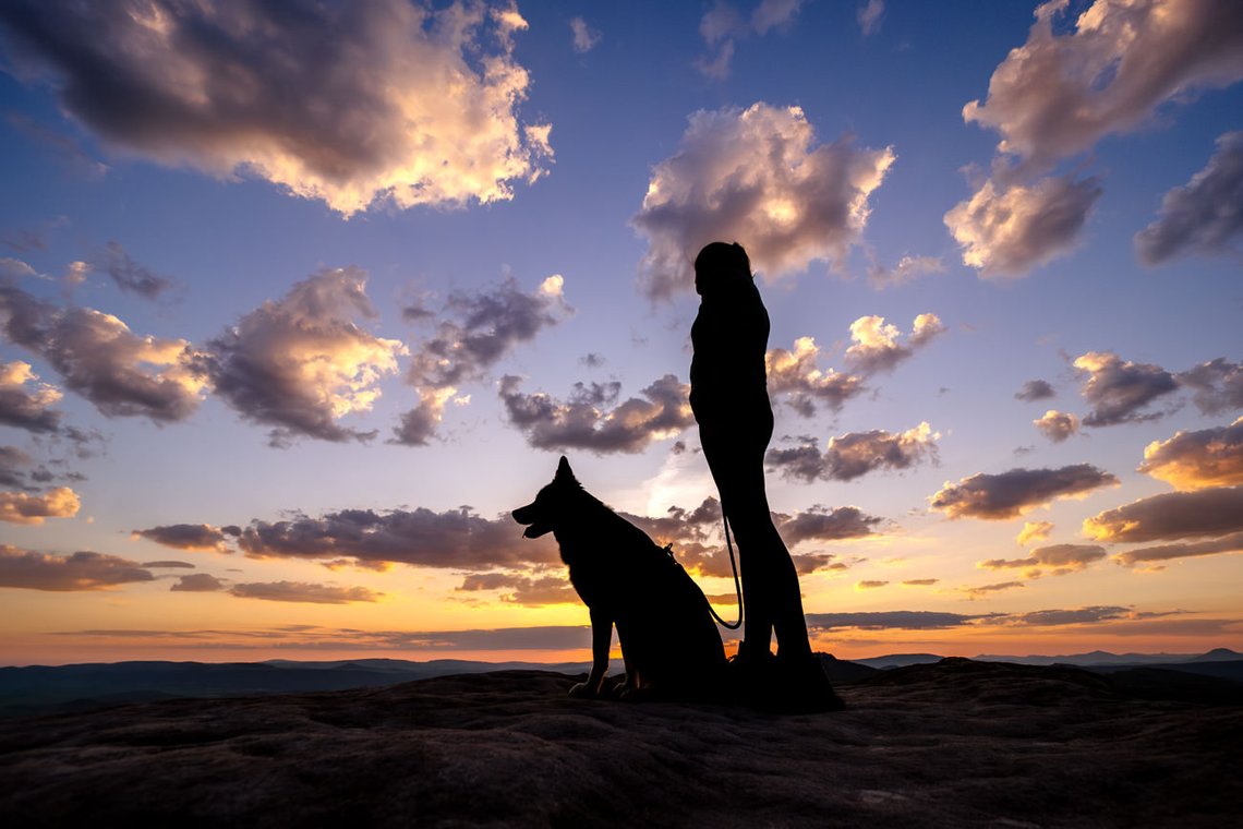 Silhouette von Hund und Halter bei Sonnenaufgang