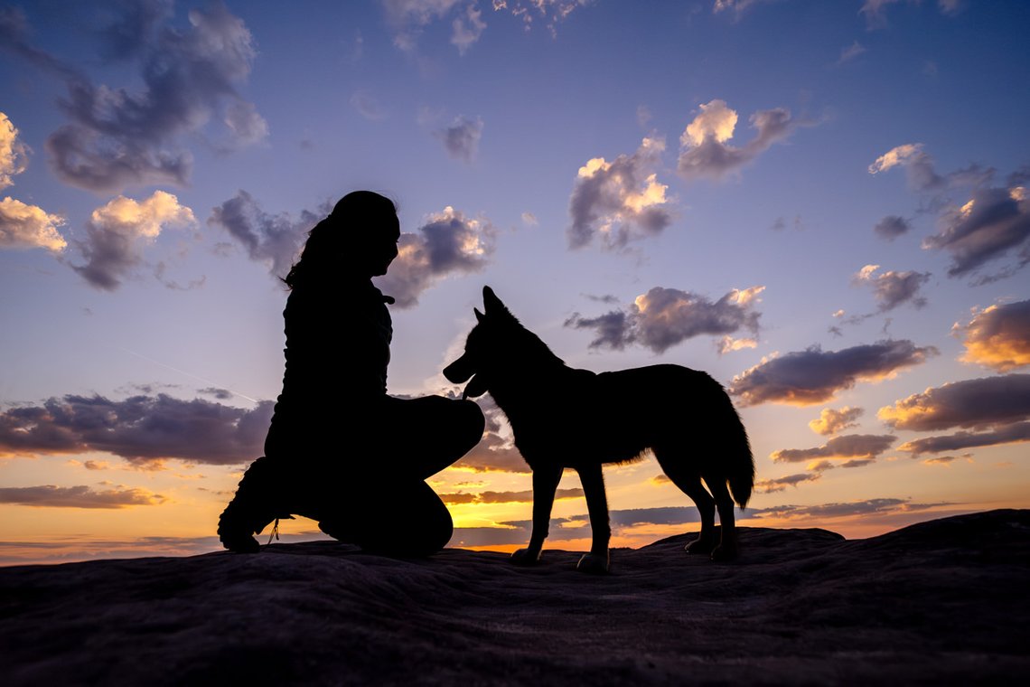 Silhouette von Hund und Halter bei Sonnenaufgang
