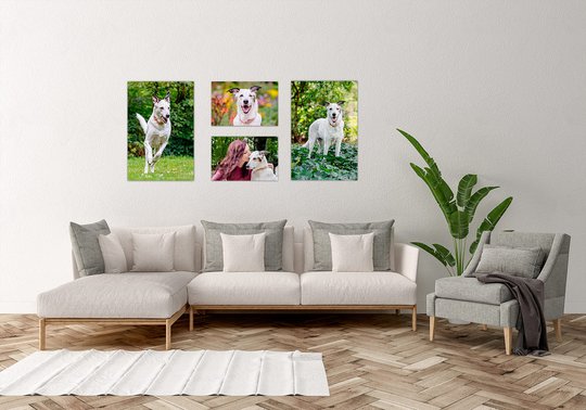 Wandbilder Galerie mit vier Hundefotos