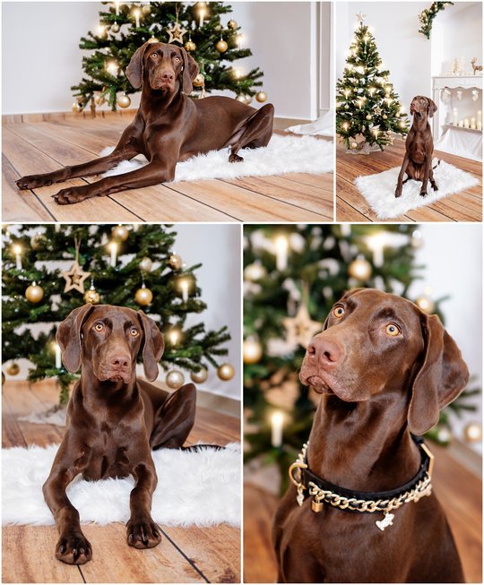 Weihnachten21-0001-3.jpg