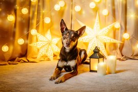Weihnachten21-0033.jpg