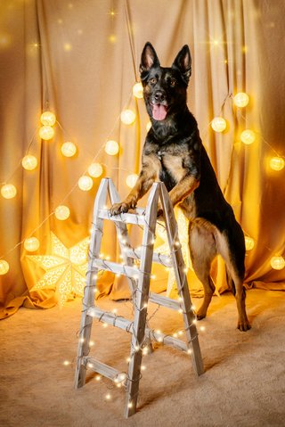 Weihnachten21-0052.jpg