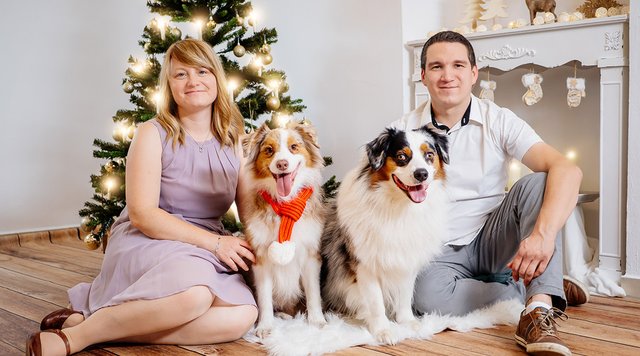 Weihnachtsfoto Hund und Halter in Dresden