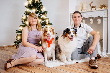 Weihnachtsfoto Hund und Halter in Dresden