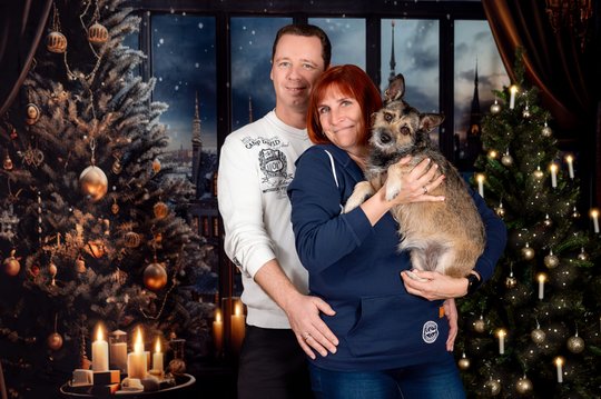 Mischling und Besitzer in Weihnachtskulisse