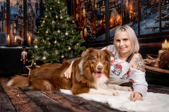 Australian Shepherd mit Frauchen in festlicher Weihnachtsfoto Kulisse
