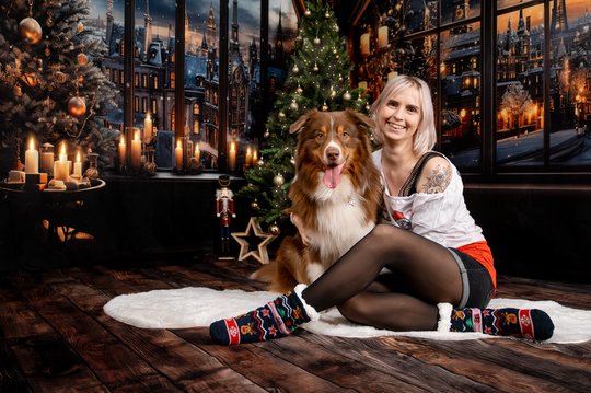 Australian Shepherd mit Frauchen in festlicher Weihnachtsfoto Kulisse