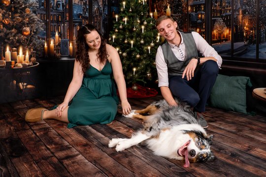 Australian Shepherd mit Besitzern vor festlicher Kulisse mit Weihnachtsbaum und Kerzen in Dresden
