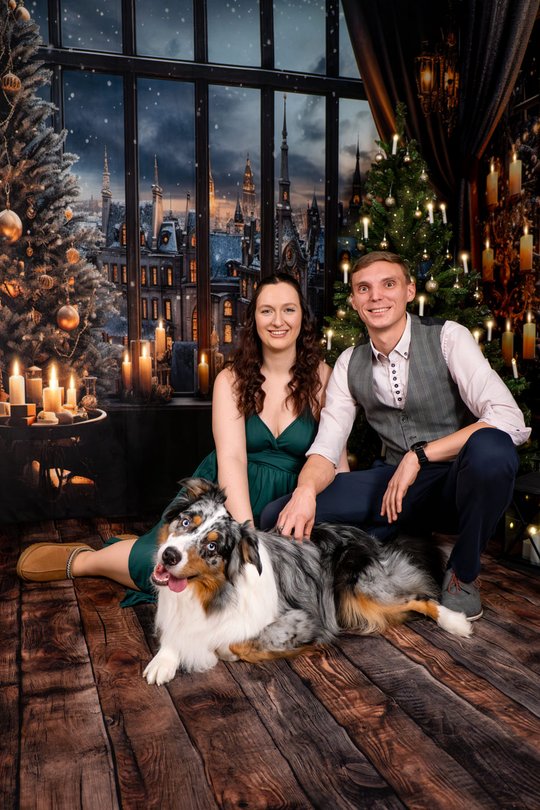 Australian Shepherd mit Besitzern vor festlicher Kulisse mit Weihnachtsbaum und Kerzen in Dresden
