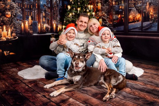 Working Kelpie mit Familie in gemütlicher Weihnachtskulisse bei Hundefotoshooting