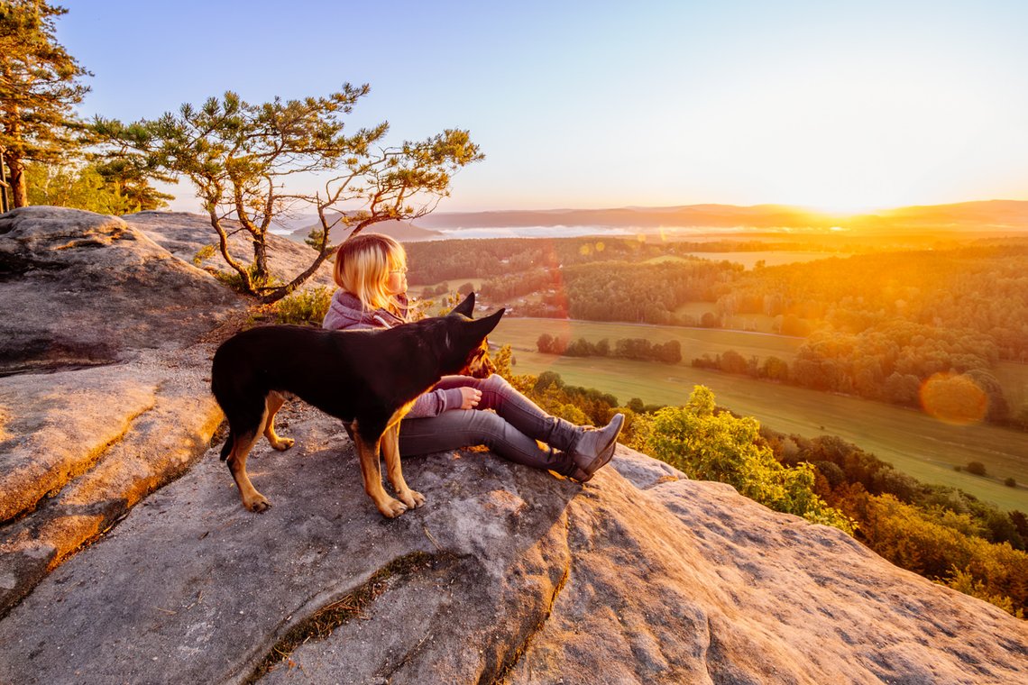 Working Kelpie Rüde im spektakulären Sonnenaufgang in der Sächsischen Schweiz schaut vom Abgrund hinab